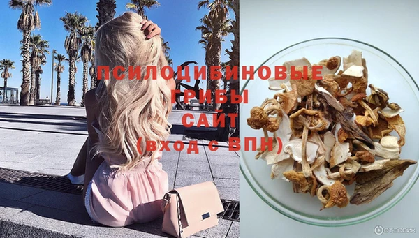 МДПВ Алексин